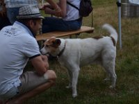 Sommertreffen 2018 - 033